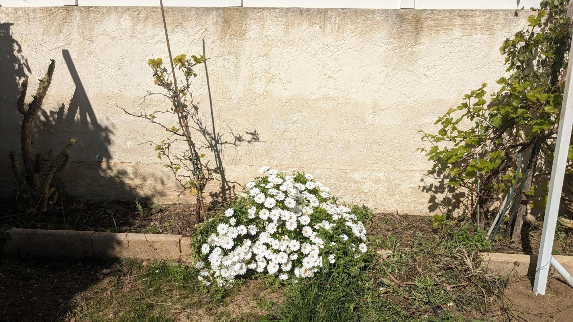 Maisonnette Kalis Calme Avec Climatisation Parking Jardin Cadre Campagne Plages A Pieds Бандоль Екстер'єр фото