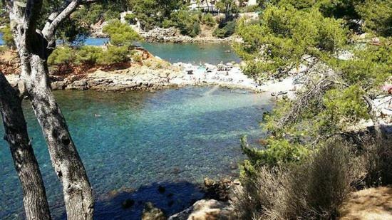 Maisonnette Kalis Calme Avec Climatisation Parking Jardin Cadre Campagne Plages A Pieds Бандоль Екстер'єр фото